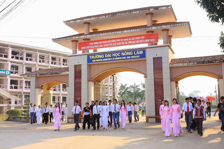 học đại học online đại học nông lâm thái nguyên